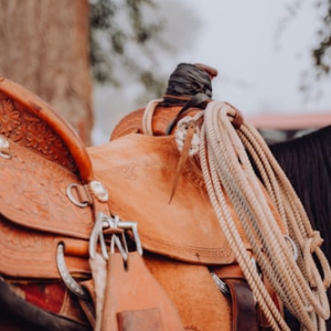 Leather Crafting Kit